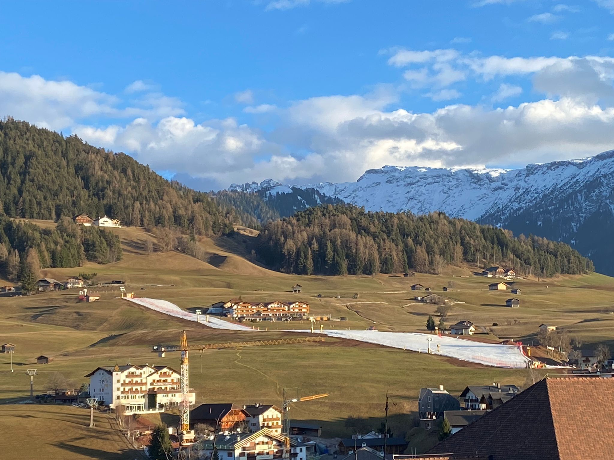 Gruenewiese